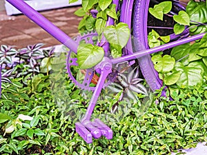 Purple bike pedal and part of the rear wheel in green leaves close up