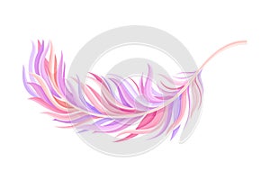 Purple Bird Feather with Nib as Avian Plumage Vector Illustration