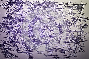 Purple and black lines in chaos on vintage paper