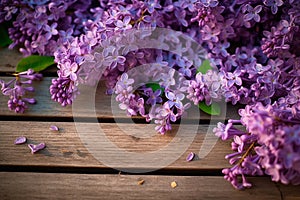 Purple blossoms of lilac adorning a wooden plank, nature\'s artistry.