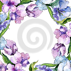 Purple and blue alstroemeria flowers. Floral botanical flower. Frame border ornament square.