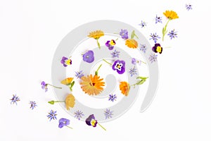 Purple, blue, orange edible flowers: viola, calendula and borage on white background.