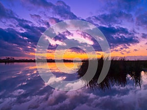 Purple and blue reflection