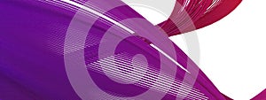 Purple and Blue Thin Curved Delicate Lines Luxury Delicate Modern Art Isolated Elegant Modern 3D Rendering Abstract Background
