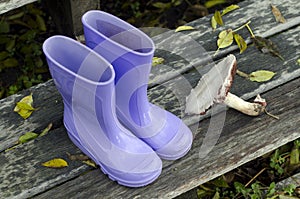 Purple boots and forest mushroom