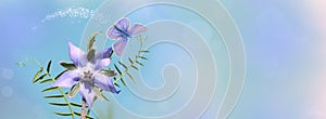 Purple borage flower on a blurry soft blue and green background. Early in the morning, a butterfly flies over a  flower.Spring pat