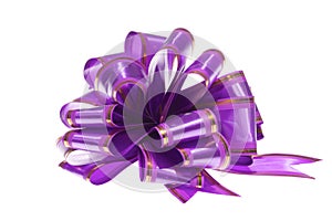 Purple bow