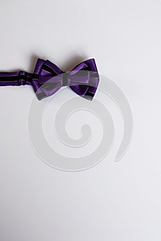 Purple bow tie with black stripes on white background