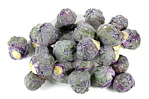 Purple Brussels sprout