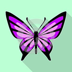 Purple butterfly icon, flat style