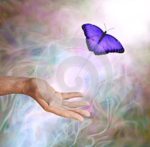 Purple Butterfly Symbolic Spiritual Release