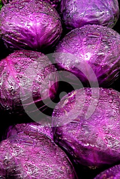 Purple Cabbage