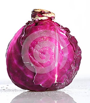 Purple cabbage