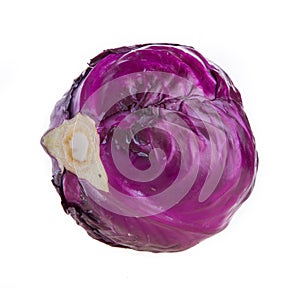 purple cabbage