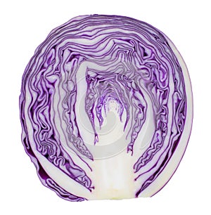 Purple cabbage isolated photo