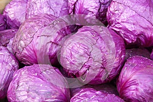 Purple cabbages