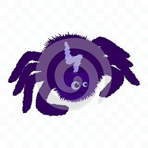 Purple cartoon spider on transparent background