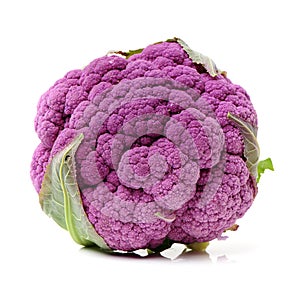 Purple cauliflower