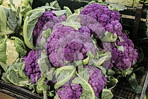 Purple cauliflower in a vegetables market