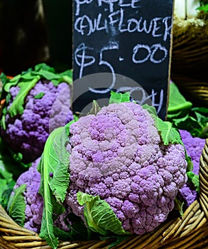 Purple cauliflowers for sale