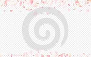 Purple Cherry Vector Transparent Background. Rose