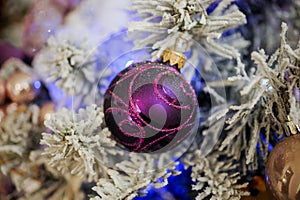 Purple christmas balls hanging on tree