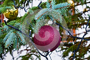 Purple Christmas decoration ball on a tree branch