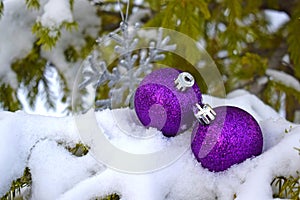 Purple Christmas toys on a snow-covered spruce branch. photo