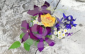 Purple clematis, delphinium, daisies on a stone background