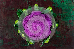 purple coliflower on green background photo