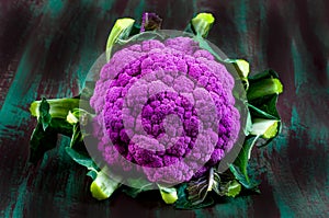 purple coliflower on green background photo