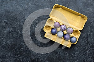 Purple colored eggs in carton