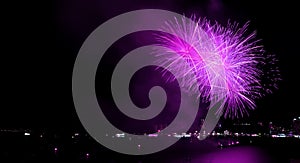 Purple colored fireworks exploding in to the night sky over the bay