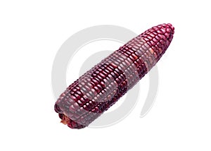 A Purple corn isolated on white background.
