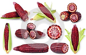 Purple corn isolated on white clipping path