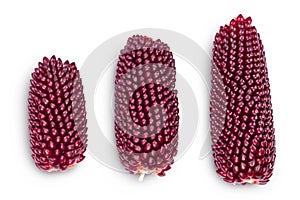 Purple corn or maize isolated on white background with full depth of field. Top view. Flat lay