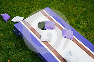 Purple Cornhole Bean Bag Toss Game