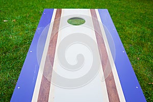 Purple Cornhole Bean Bag Toss Game