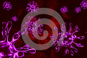 purple coronavirus cells in human body photo