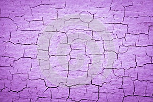 Purple Cracked Paint