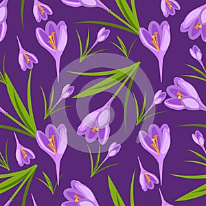 Purple crocuses in the snow vector pattern