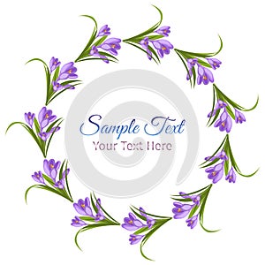 Purple crocuses in the snow vector. photo