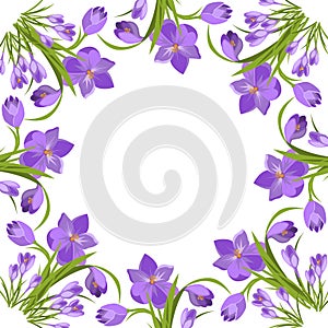 Purple crocuses in the snow vector. photo