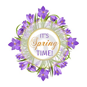 Purple crocuses in the snow vector. photo