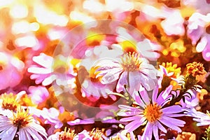 Purple daisy. The works in the style of watercolor painting