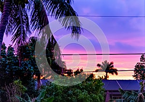 Purple dawn in Miami