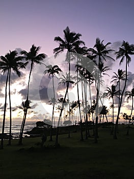 Purple Dawn in October at Hikinaakala Heiau on Kauai Island, Hawaii - Wailua River Entering Pacific Ocean.