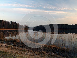 Purple dawn sunrise with mirror images in the lake, dry reeds in the foreground