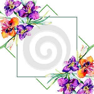 Purple daylily bouquet floral botanical flowers. Watercolor background illustration set. Frame border ornament square.