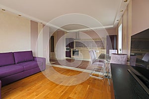 Purple design studio apartment interior